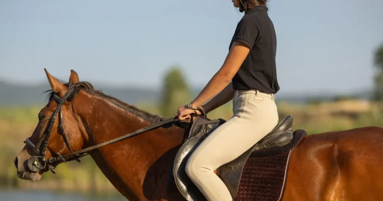 dover saddlery closing