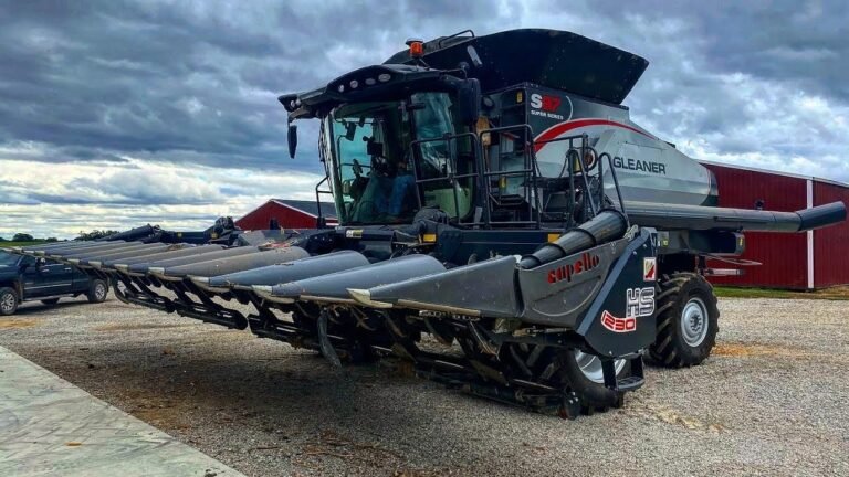 the gleaner