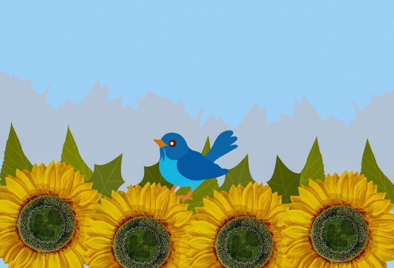 sunflower drawing